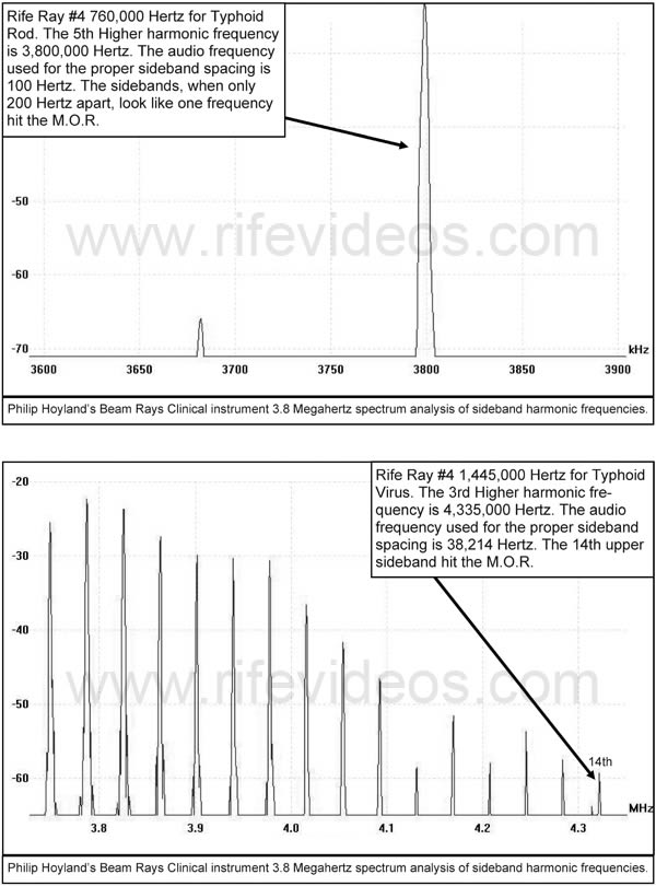 Rife Machine Typhoid rod and Typhoid virus